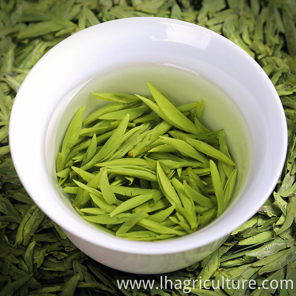 Quality Green Tea Cultivation